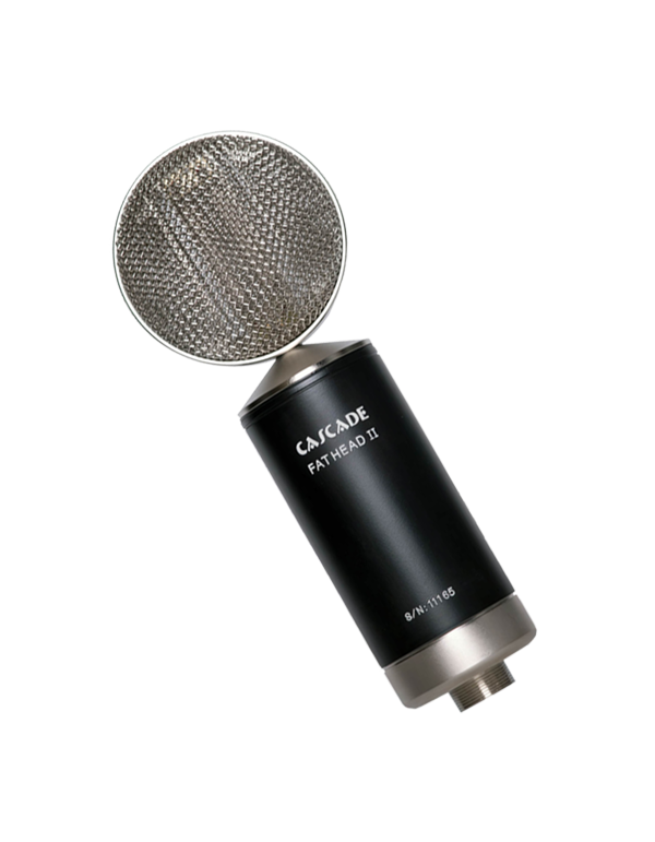 Fat Head II Active/Passive Short Ribbon Microphone Product Photo