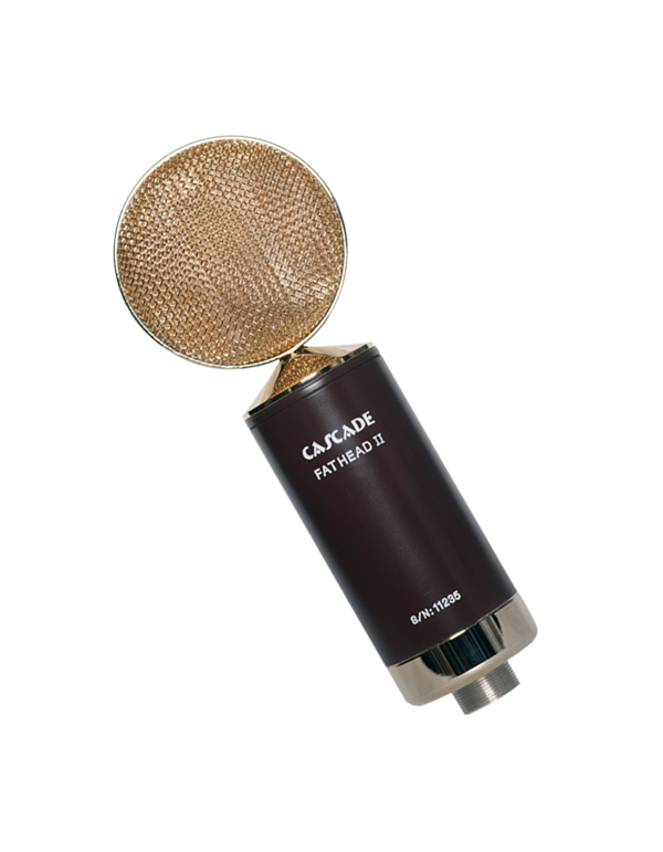 Fat Head II Short Ribbon Microphone Product Photo
